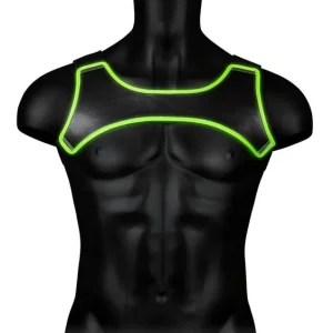 One Day Deal Ouch! Neoprene Harness