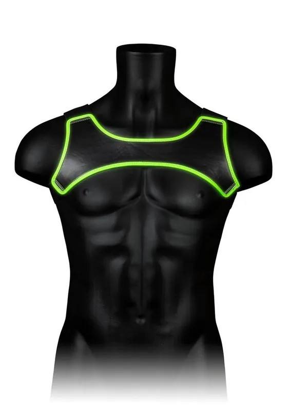 One Day Deal Ouch! Neoprene Harness