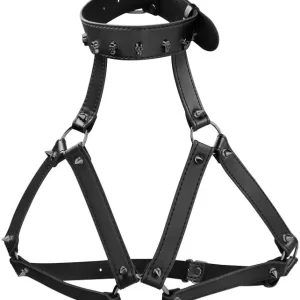 Secure Checkout Skulls and Bones Harness With Skulls and Spikes