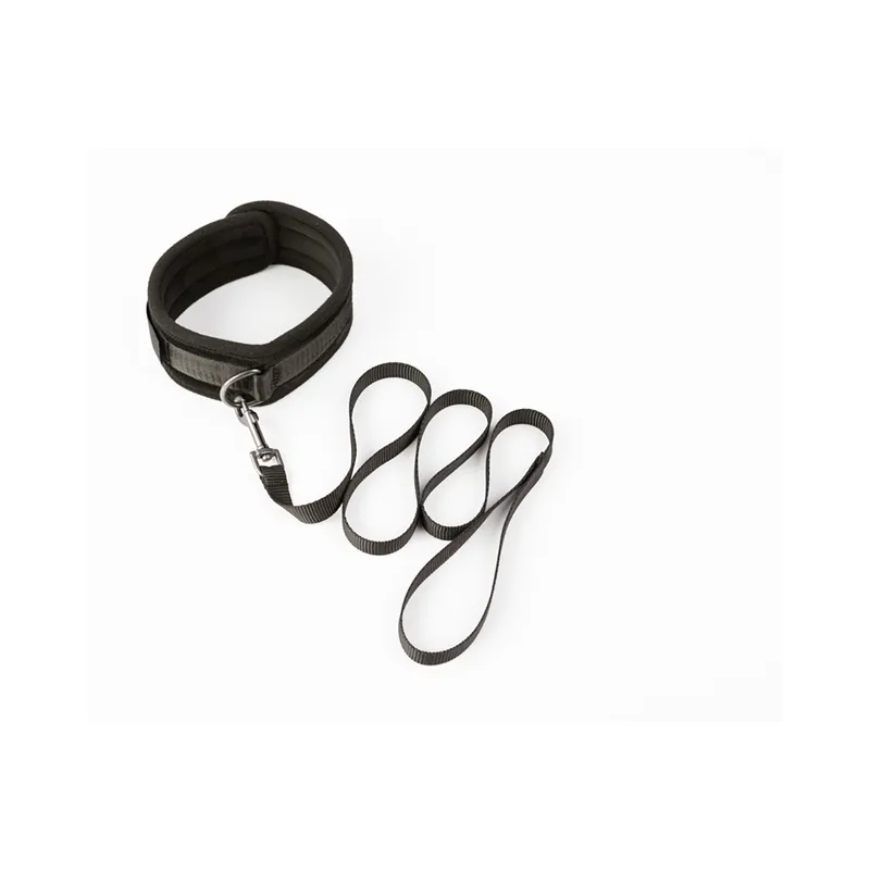 SEI MIO Take the Lead Padded Neck Collar and Leash Save Now