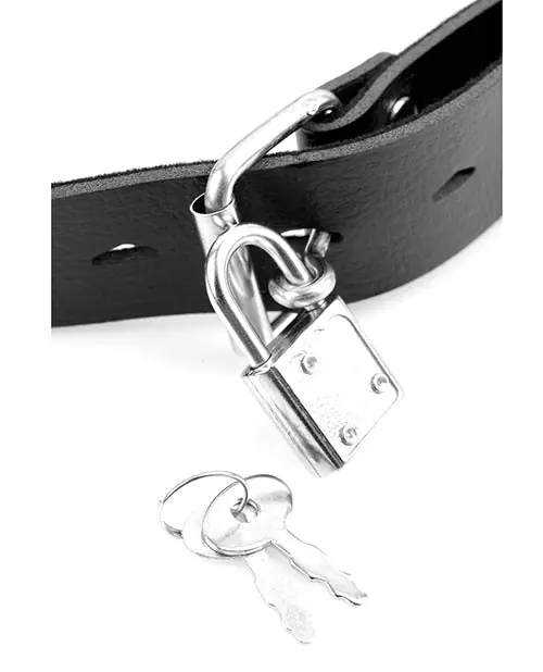 Fetish Fantasy Series Deluxe Ball Gag w/Dong Clearance